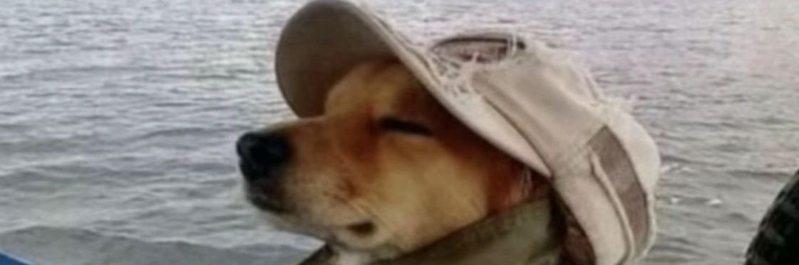 emmacdosm's profile banner image