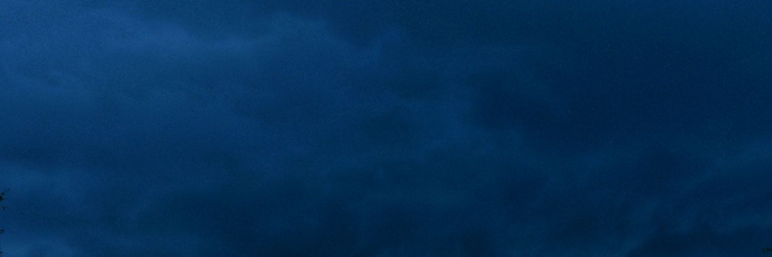 literallystarrr's profile banner image