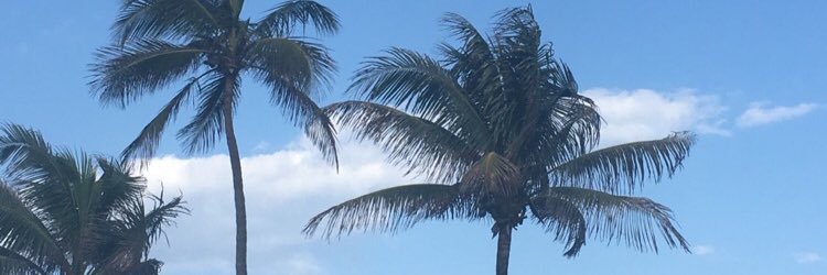 ccavallaro16's profile banner image