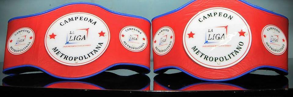 BoxeoLigaMetro's profile banner image