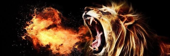 FlowzPD's profile banner image