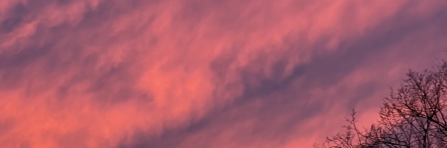 nataliehammond0's profile banner image