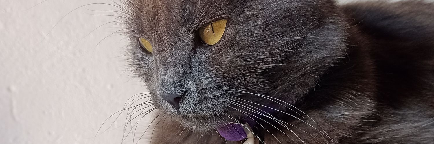 Alu_A_'s profile banner image