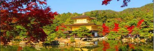 FAN_JAPAN_'s profile banner image