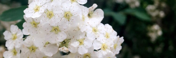 MissRaye_'s profile banner image