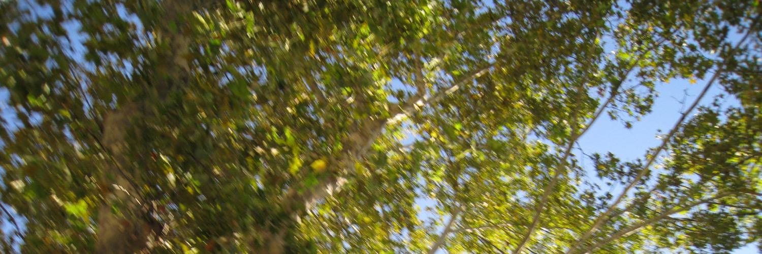 rowithattitude's profile banner image