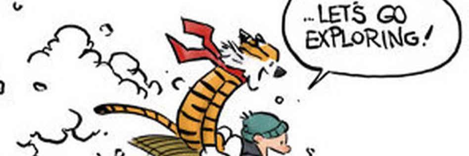 Lizz Sullivan banner