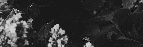 LuzBaldizzone's profile banner image