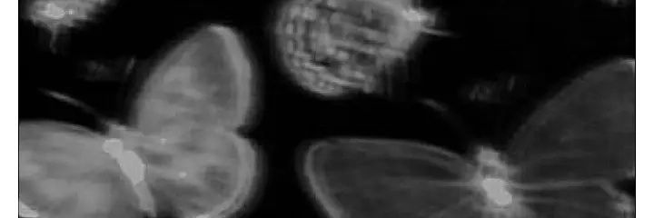 gloomlithium's profile banner image