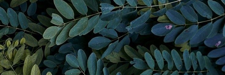 barro_9's profile banner image
