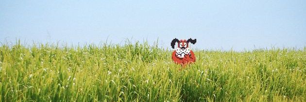 dob9508's profile banner image