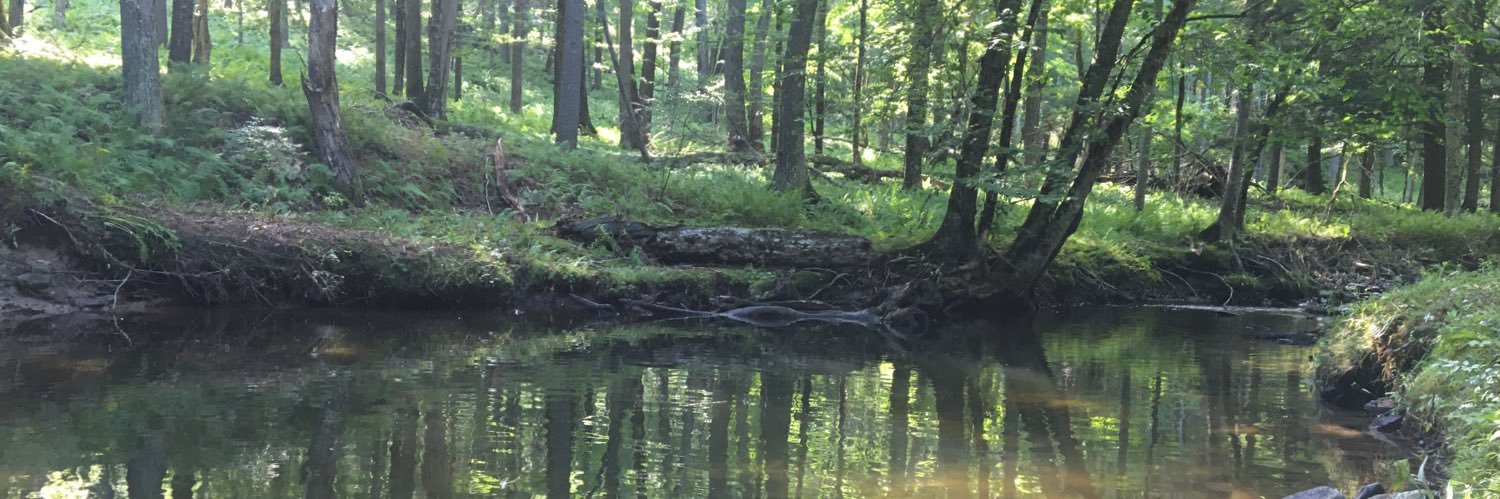 Citizen O'Kane banner