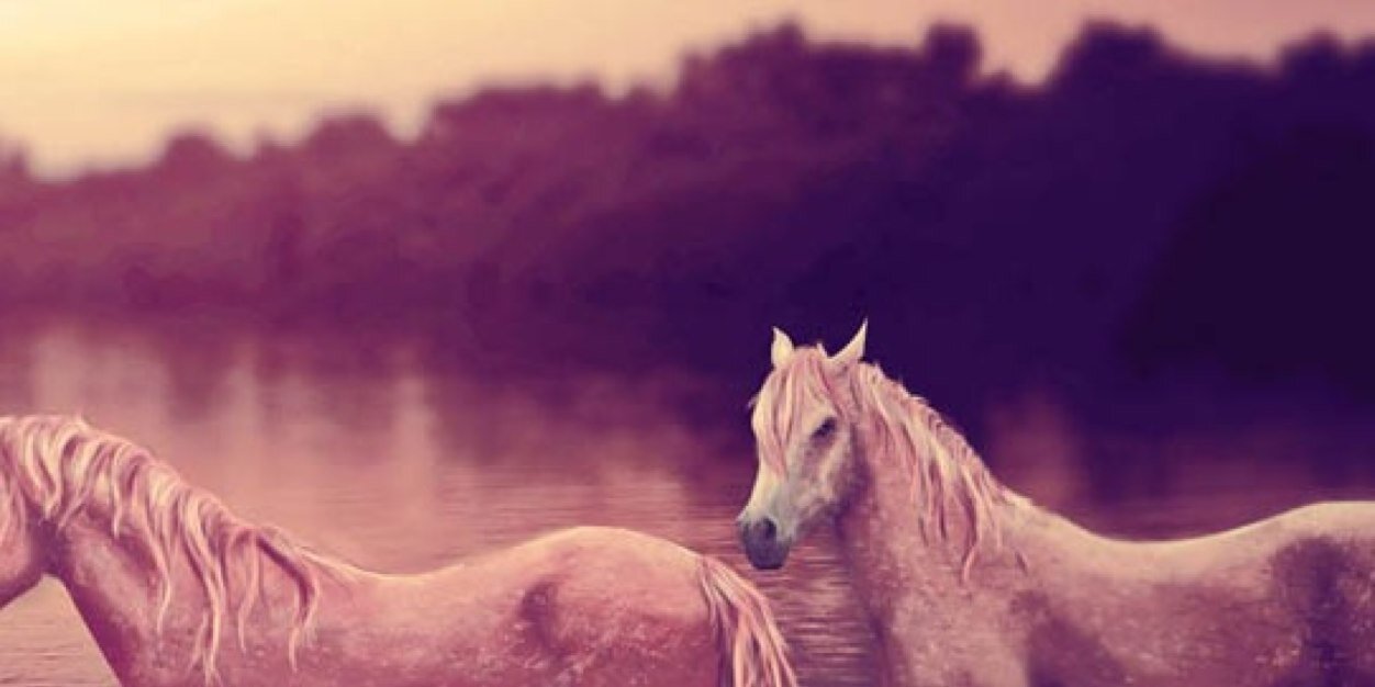 CherCate's profile banner image
