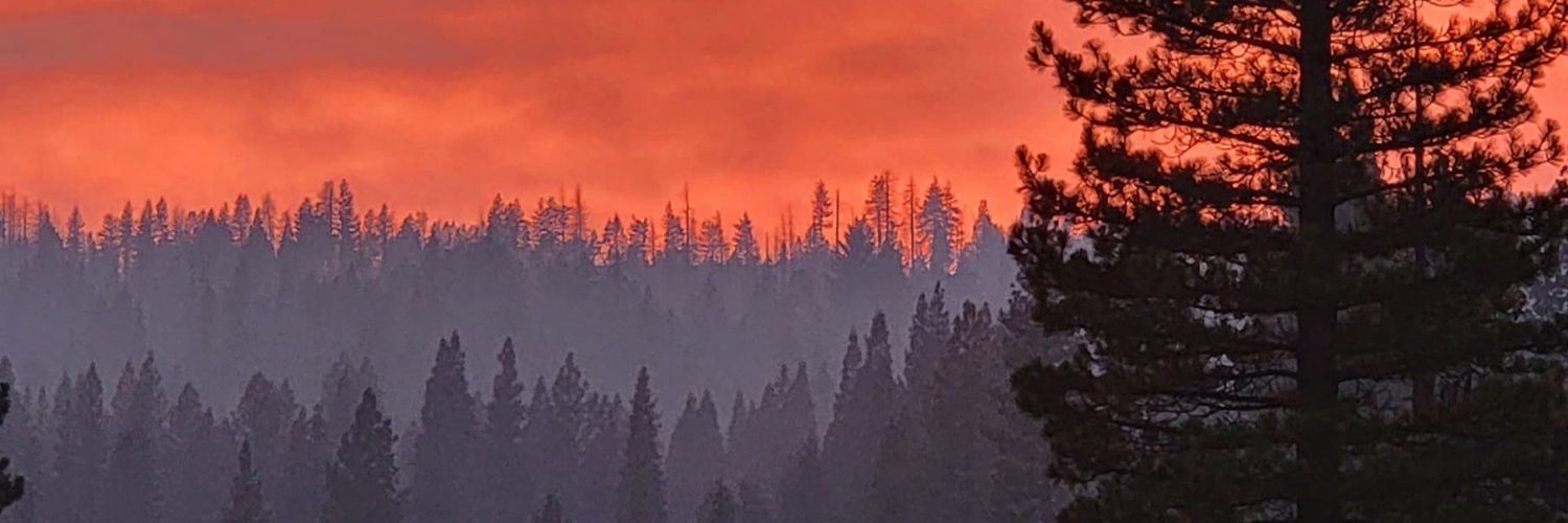 mexymindy's profile banner image
