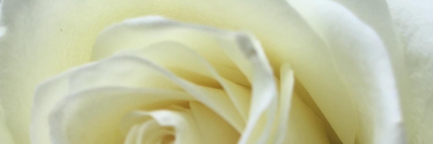 EmilyRoseHealth's profile banner image