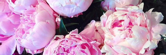 colleenmd2015's profile banner image