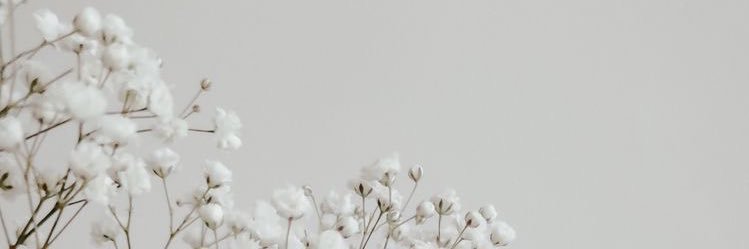 lorena__duque's profile banner image