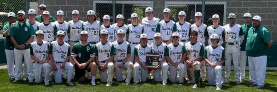 sbabruinbaseball banner