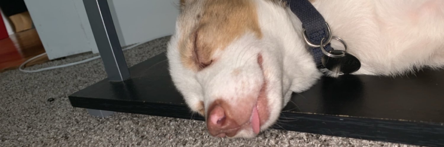 Qdriggs3's profile banner image