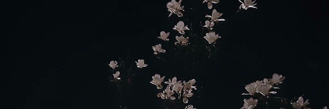 hxnaaa__'s profile banner image