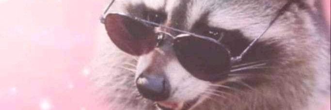 admiraccon's profile banner image
