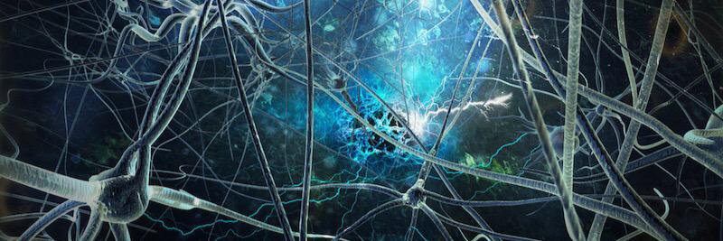 paolisimapsi's profile banner image
