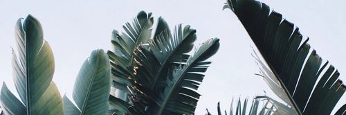 heavenlysafe's profile banner image