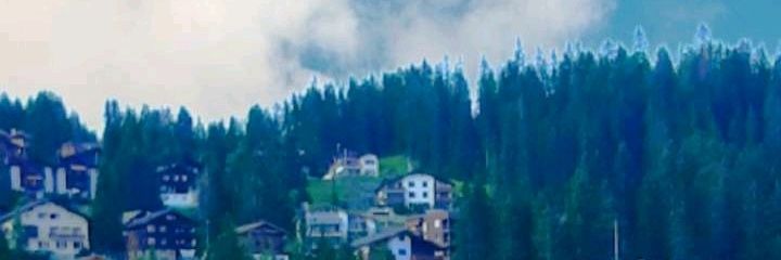 selwan333's profile banner image