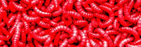 Silver (Find me on 🟦☁️) banner