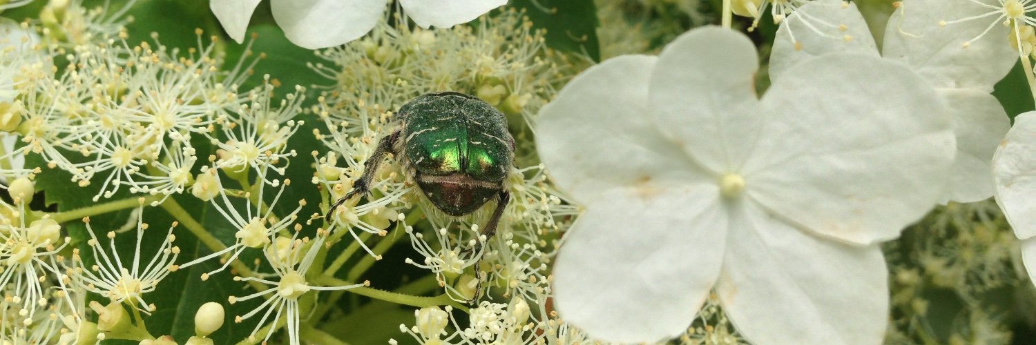 Göran Rosenberg banner