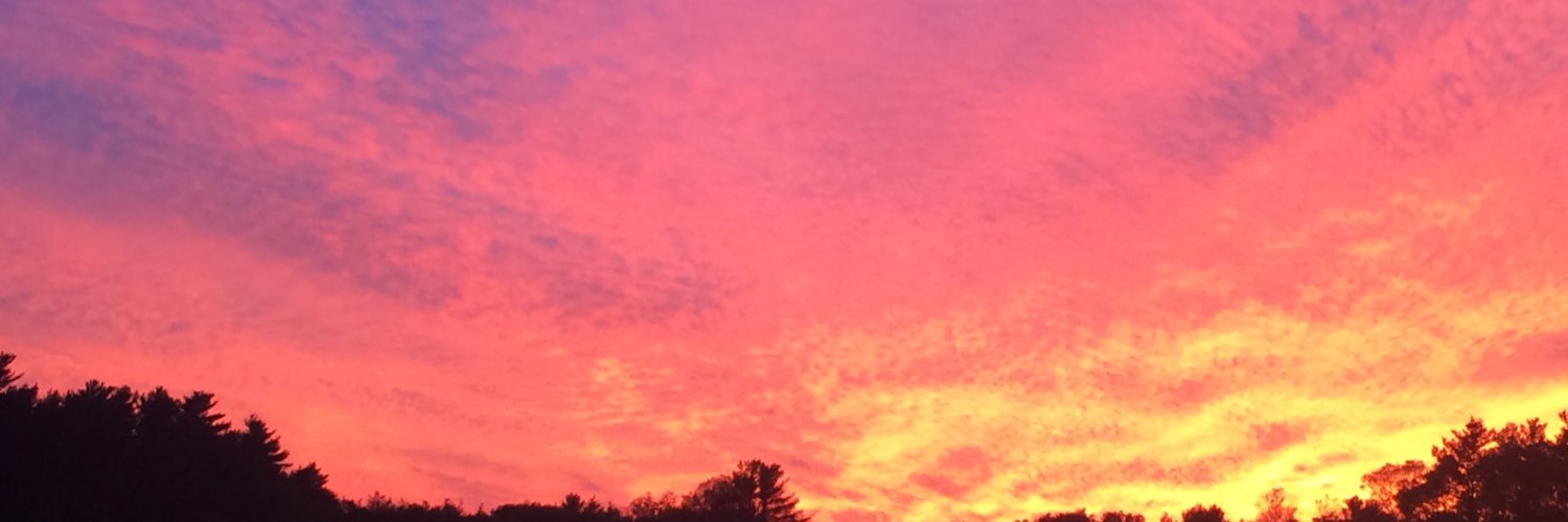 bergchem64's profile banner image
