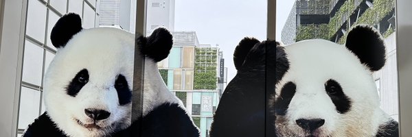 lukecogi Profile Banner