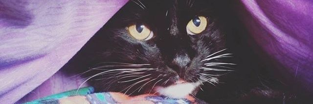 CaamiLKS's profile banner image