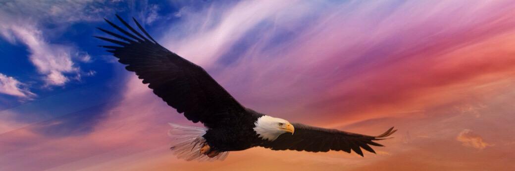 iraqy 🇮🇶 banner