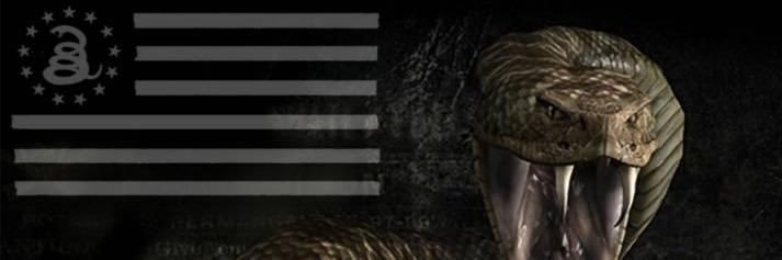 ⭐🇺🇸 Texas_Rob_49 🇺🇸 ⭐ banner