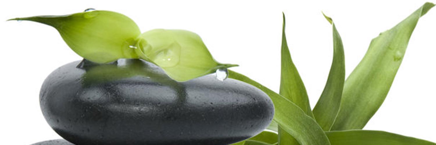 Lush Nails & Spa banner