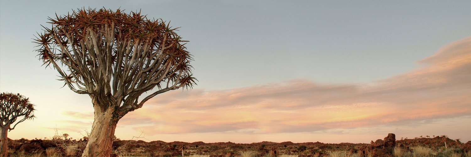 Laurium Capital banner