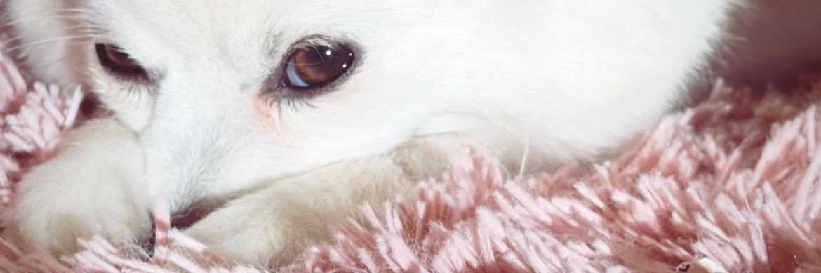 alezarate__'s profile banner image