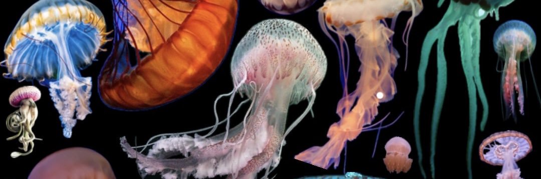 medusatristee's profile banner image