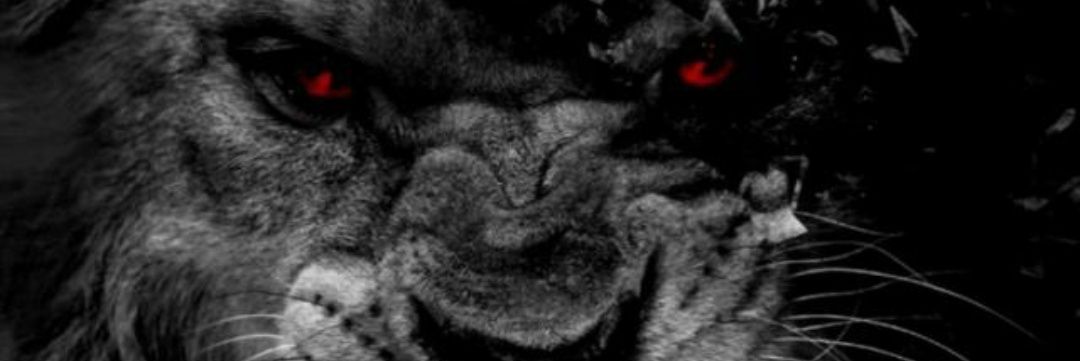 tylo93's profile banner image