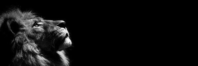 Lia banner