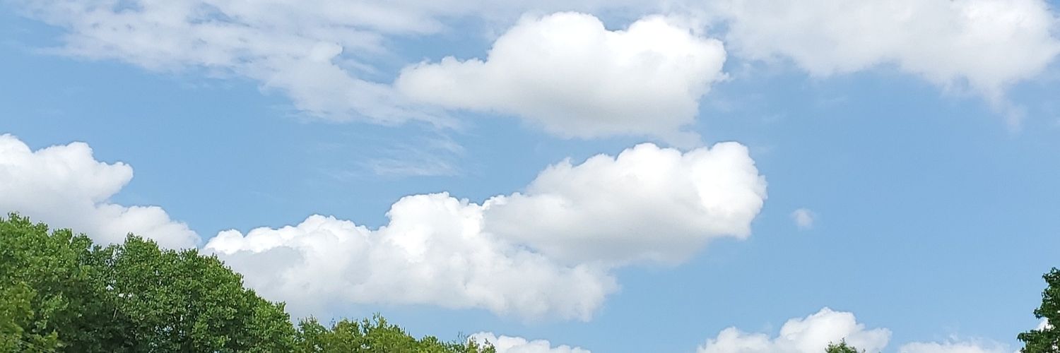 tannerisme23's profile banner image