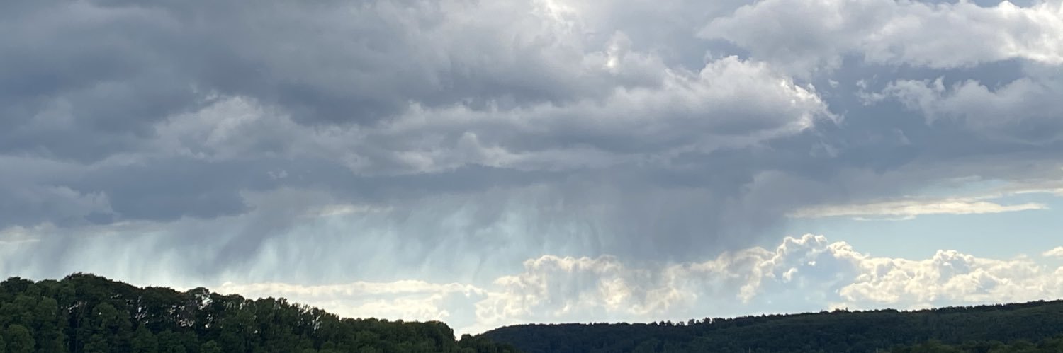 JIN JIYAN AZADI banner