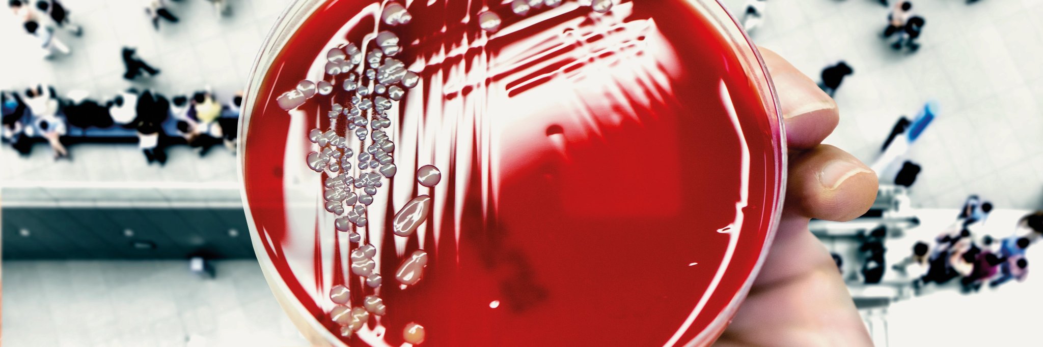 Utr. Life Sciences banner