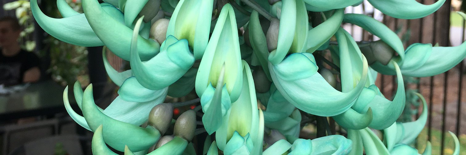 Reference Group 🎀 banner