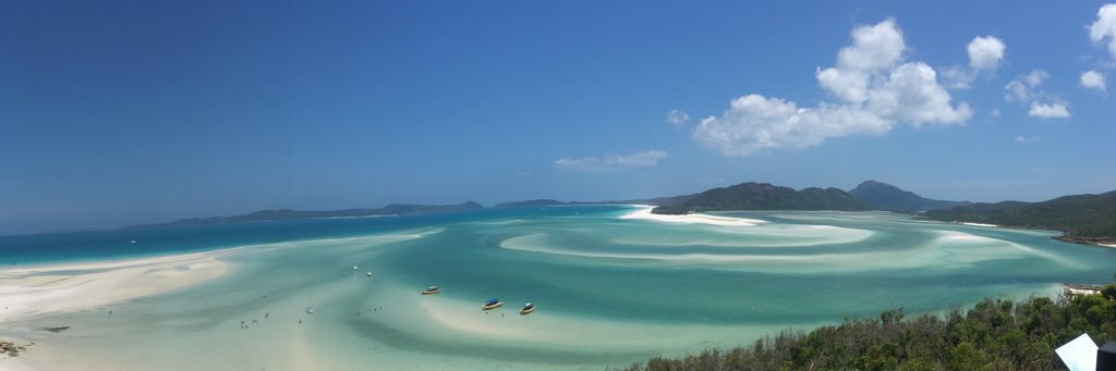 Harry Wilmott banner