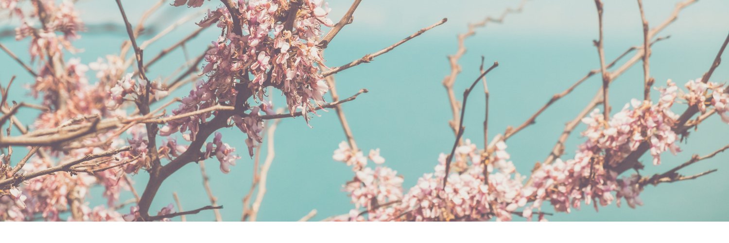 LauraNewnhamUK's profile banner image