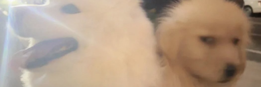 ppcprtn's profile banner image