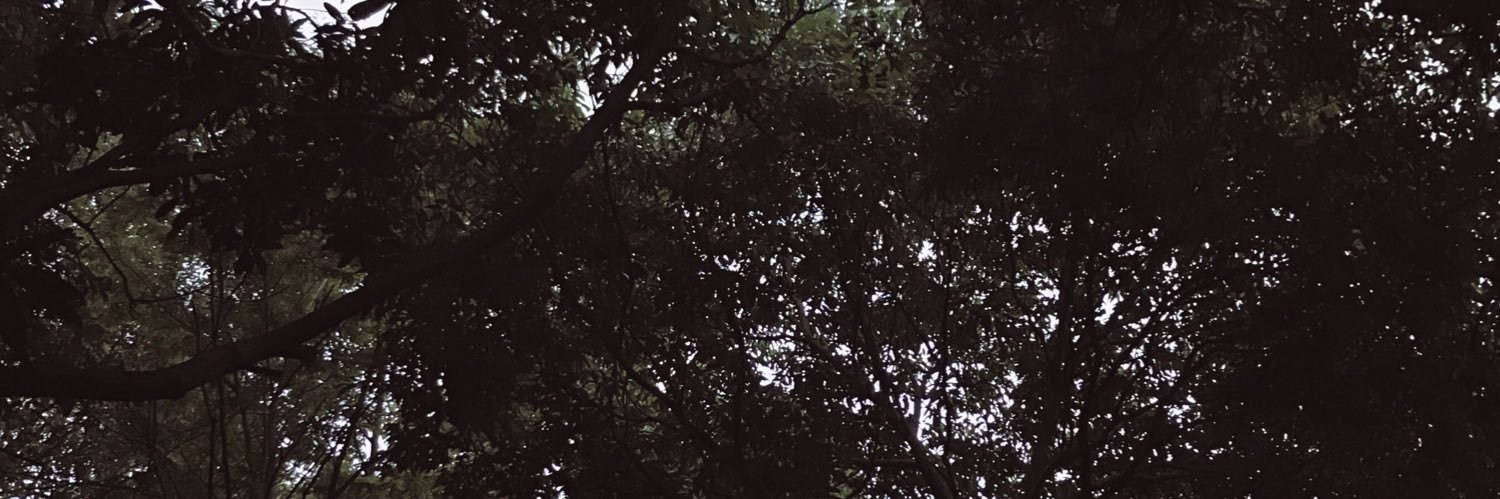 yr_red's profile banner image