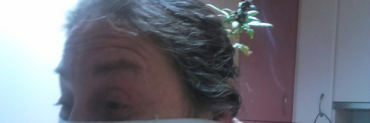 Cogollito79's profile banner image